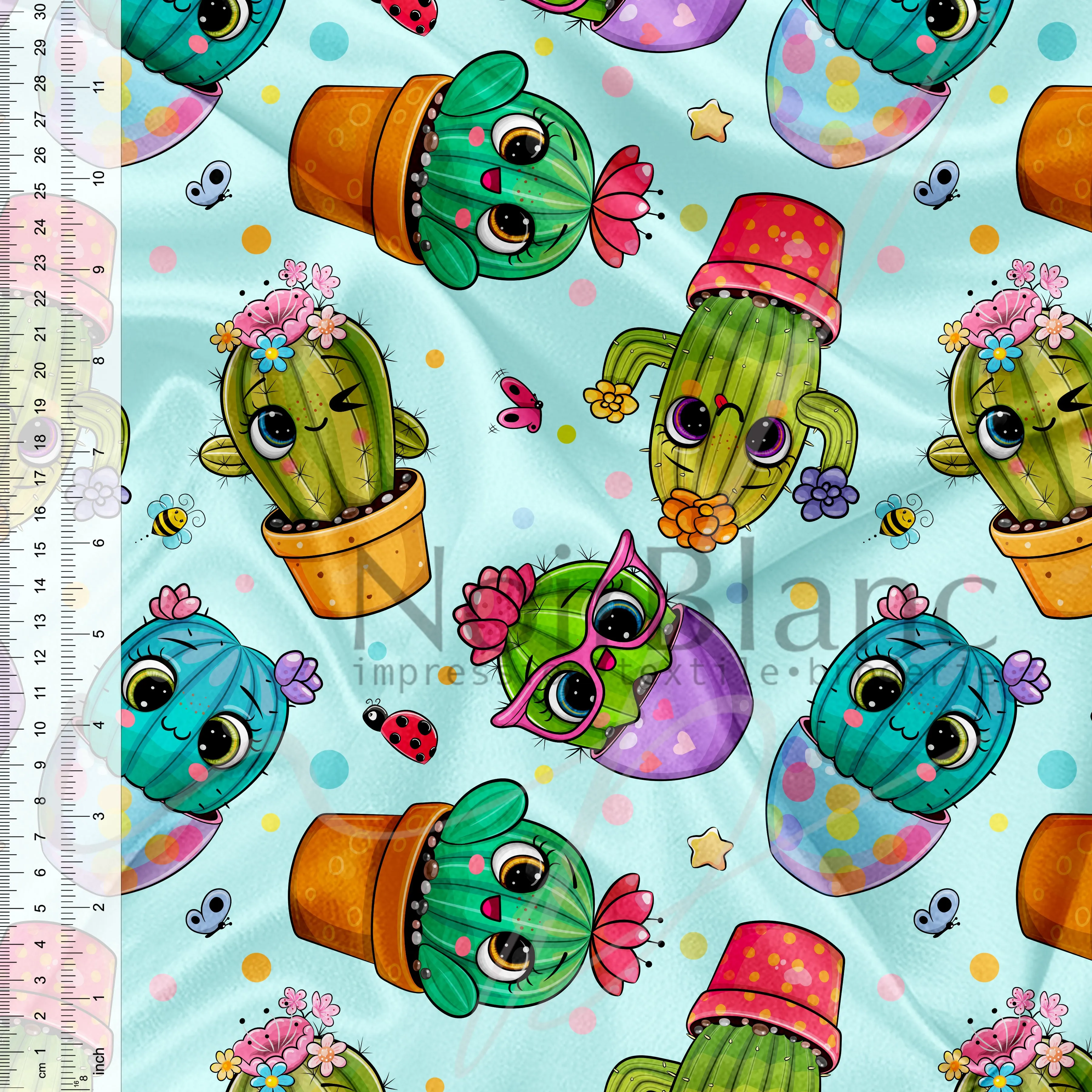 Cactus éclatés