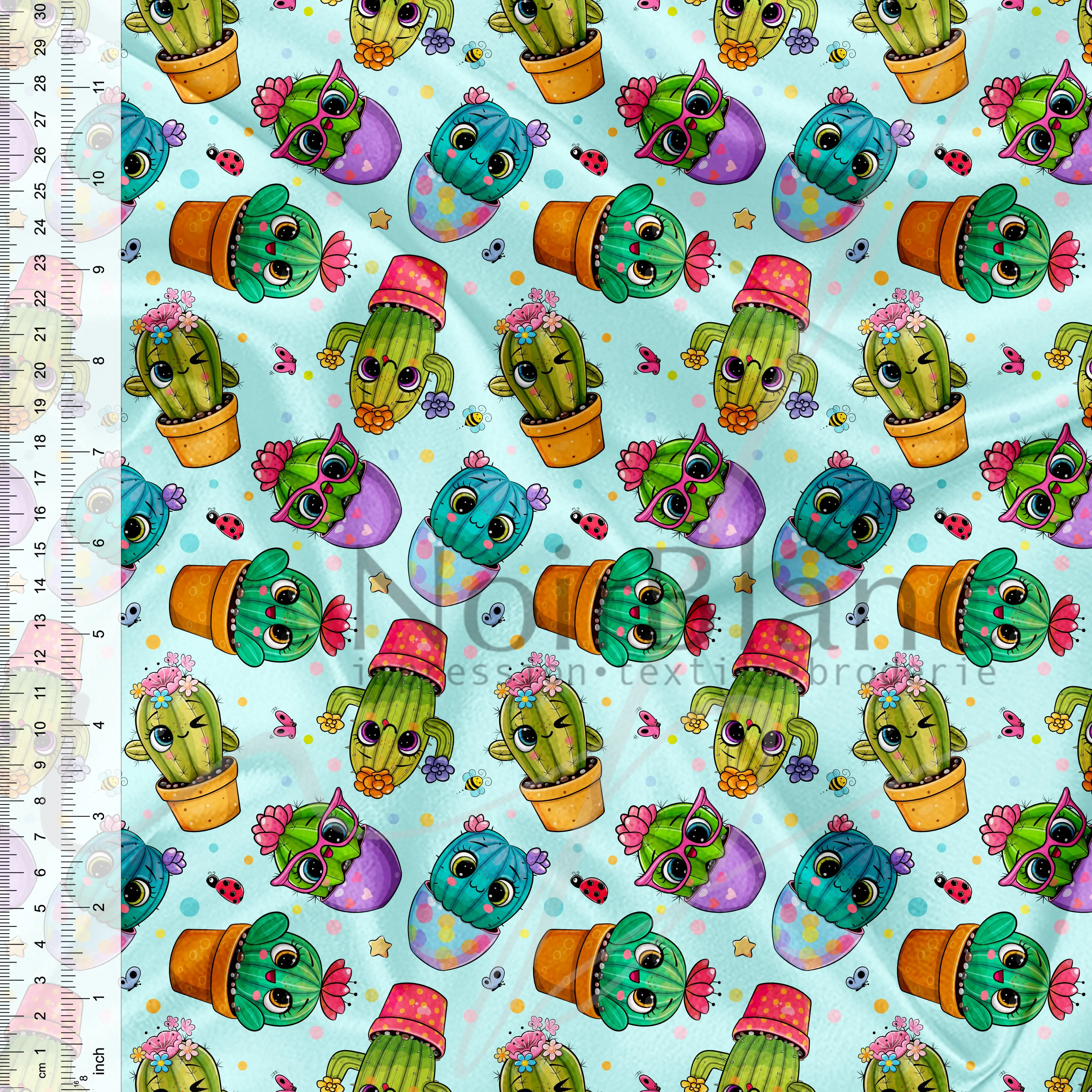 Cactus éclatés