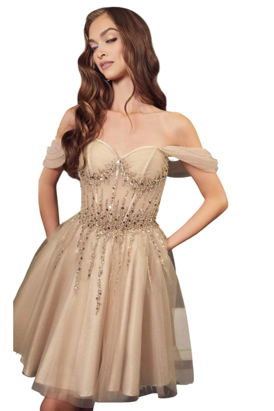 Off-Shoulder Corset Gown 2025 Elegant Evening Dress